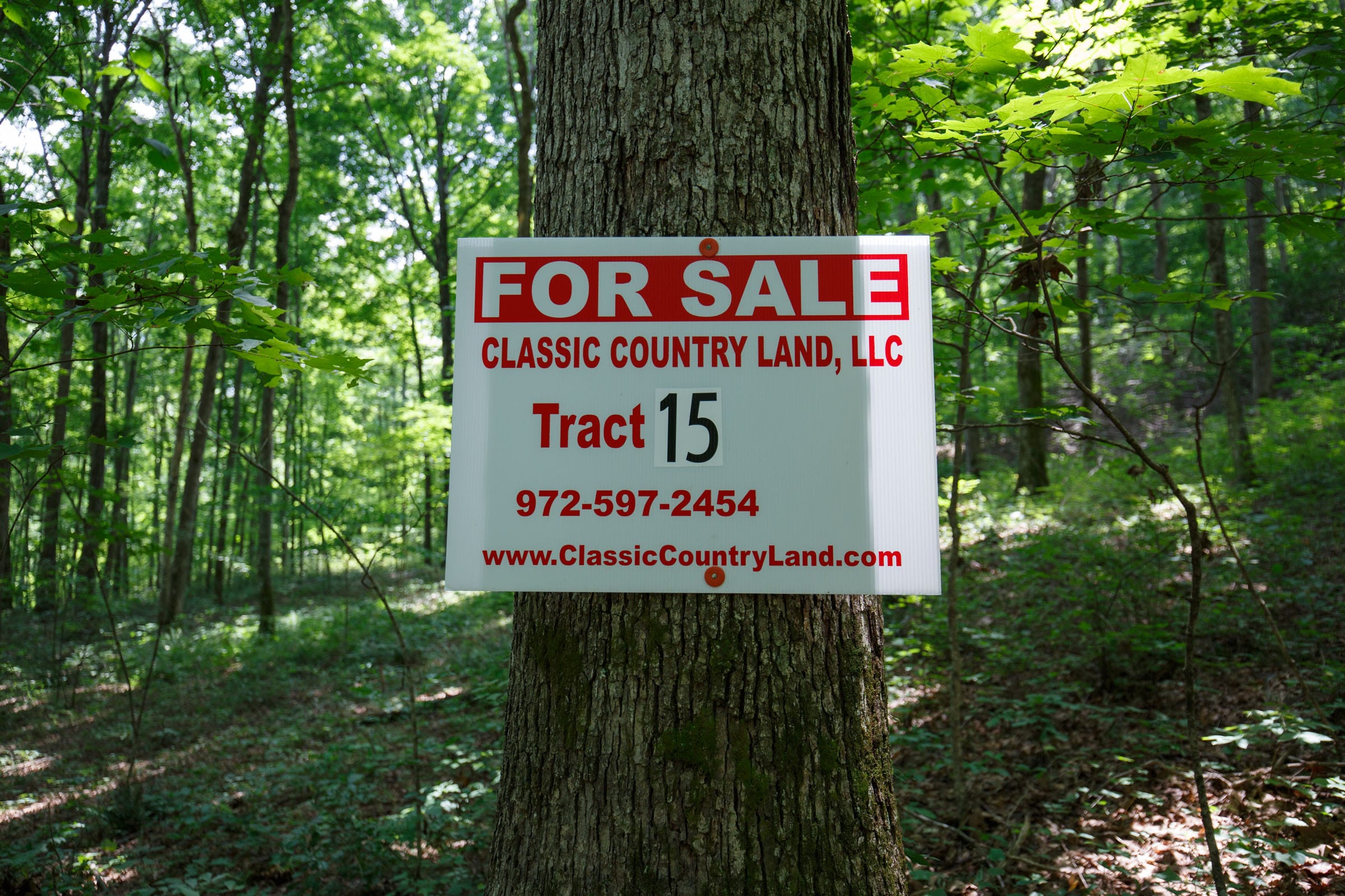 Rolling Hills Tract 15 photo 1