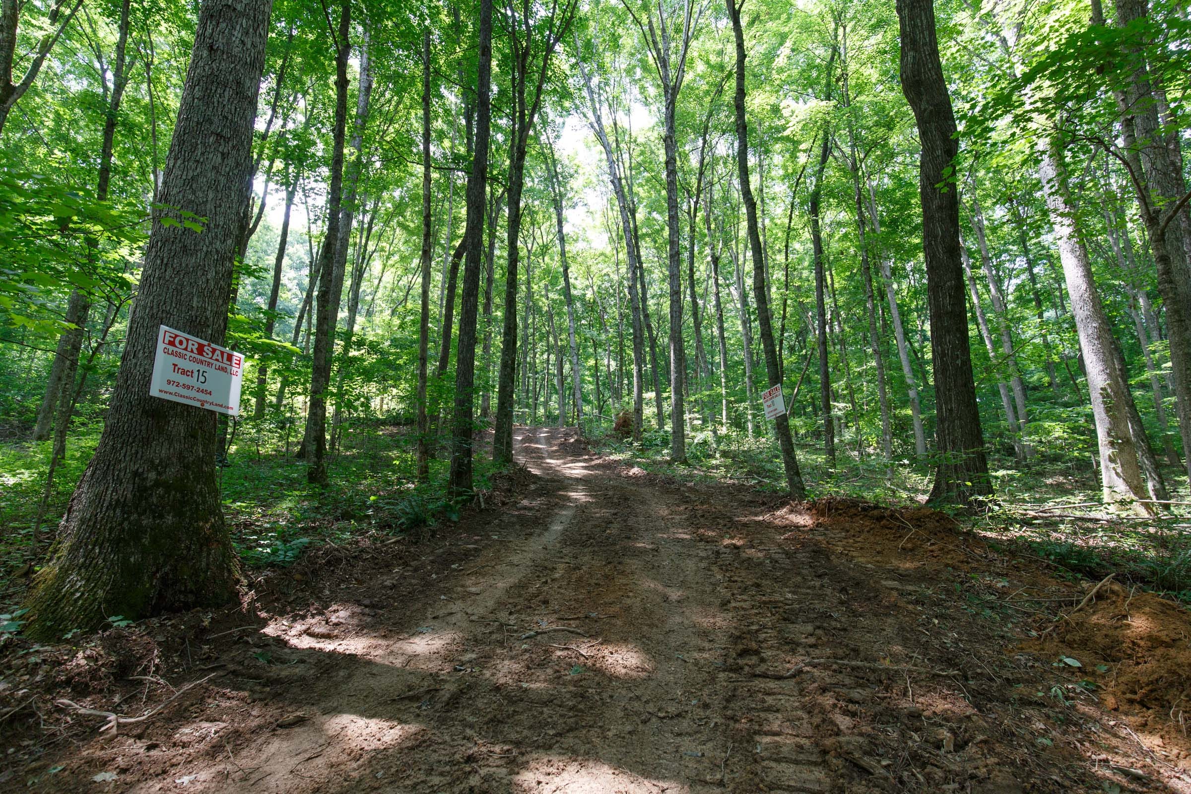 Rolling Hills Tract 15 photo 10
