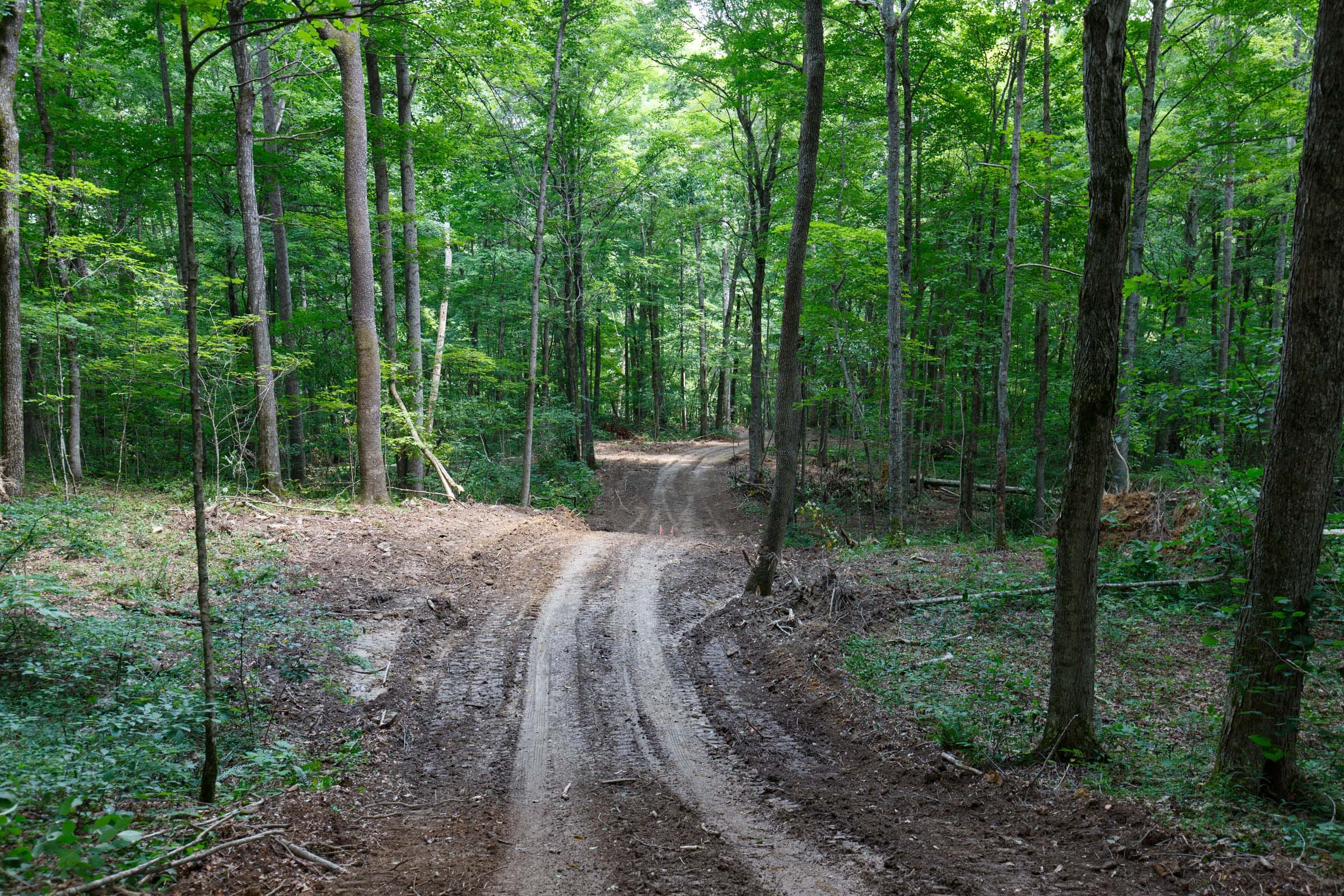 Rolling Hills Tract 15 photo 7