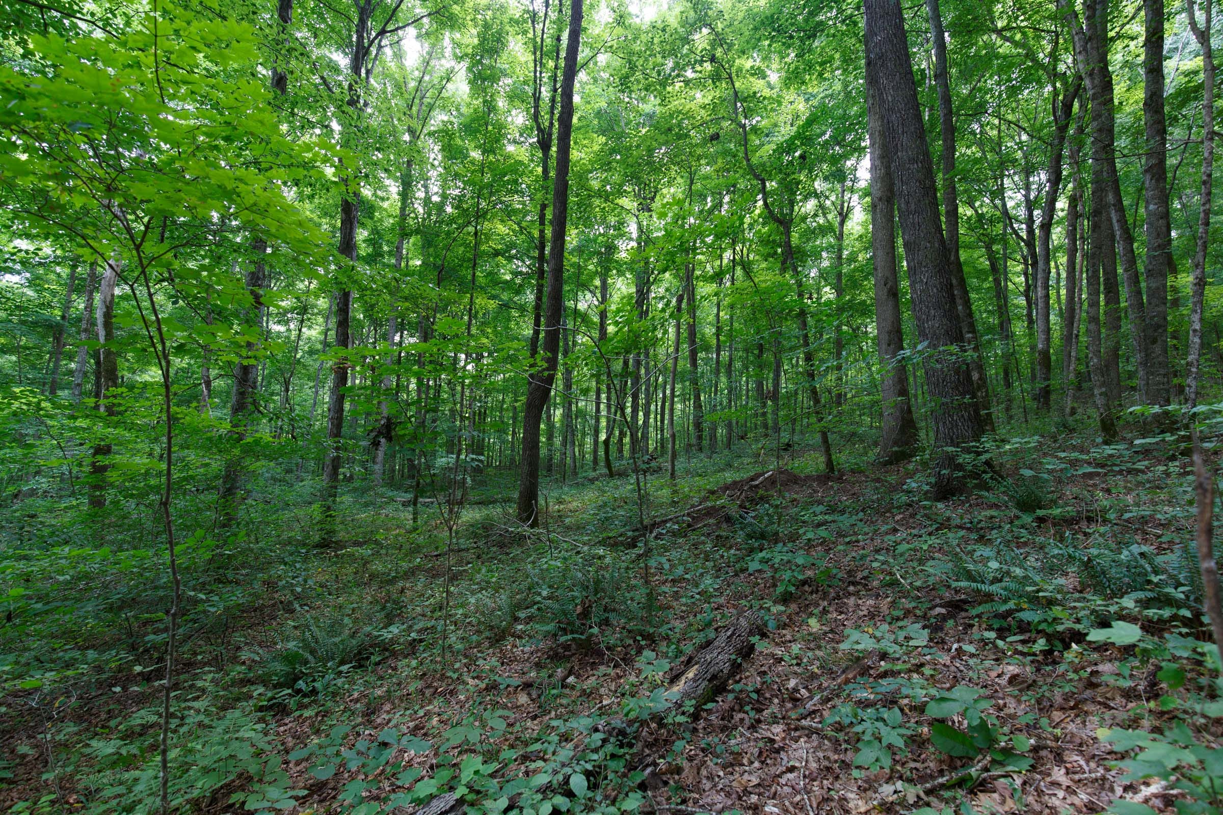 Rolling Hills Tract 15 photo 15