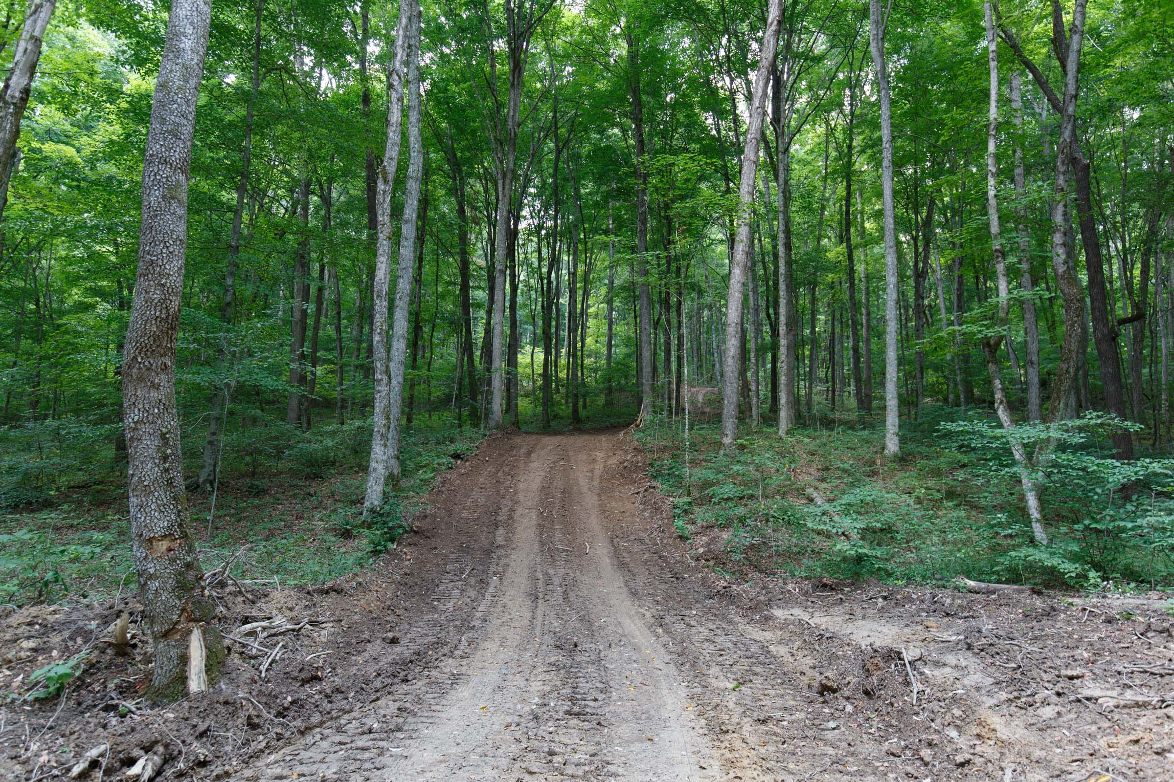 Rolling Hills Tract 15 photo 2