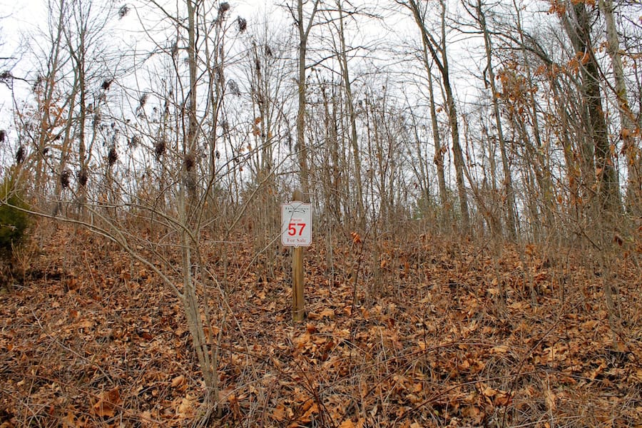The Tennessean Tract 57 photo 1