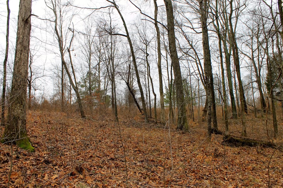 The Tennessean Tract 57 photo 4