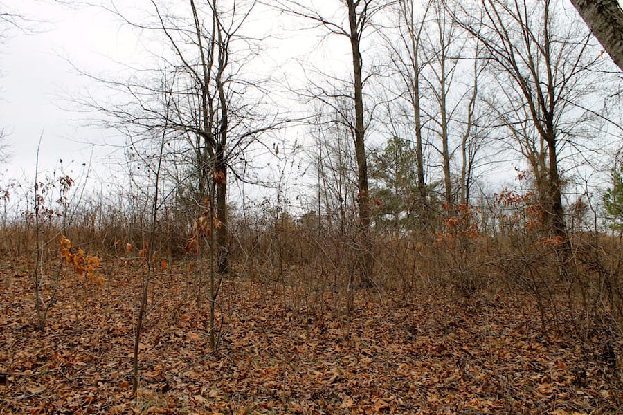 The Tennessean Tract 57 photo 7
