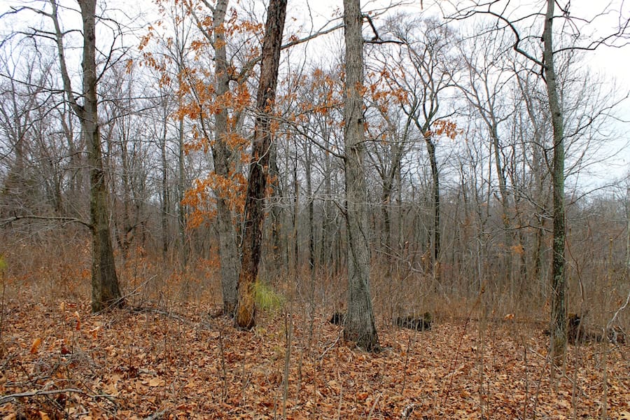 The Tennessean Tract 57 photo 12