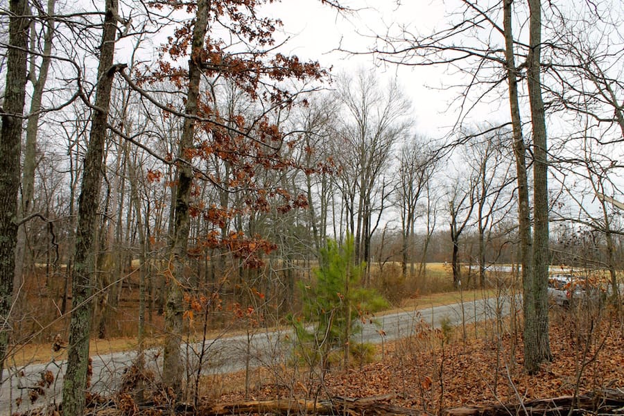 The Tennessean Tract 57 photo 13