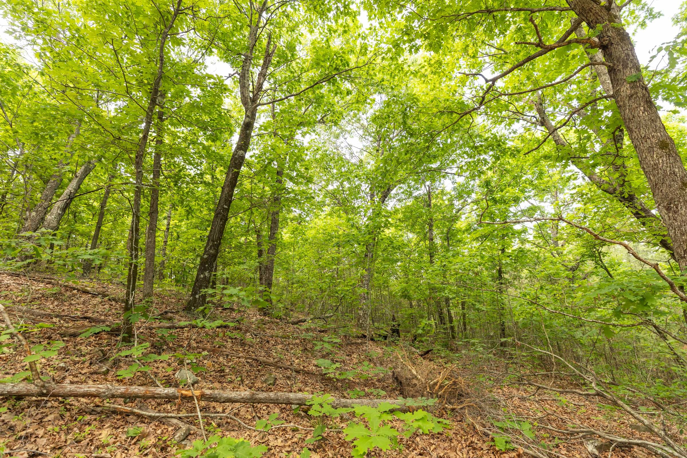 Stone Bridge Reserve Tract 33 photo 14