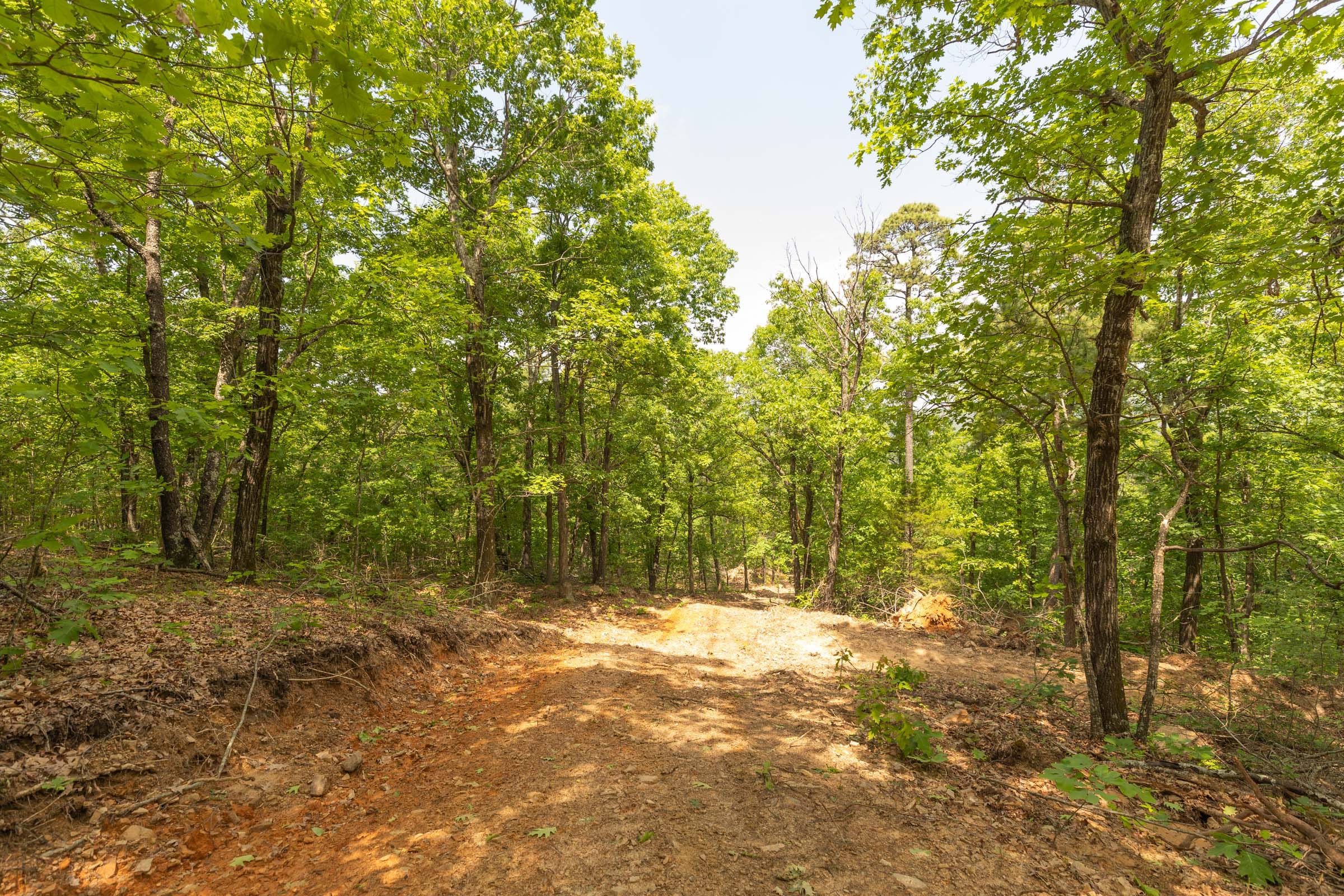 Stone Bridge Reserve Tract 33 photo 9