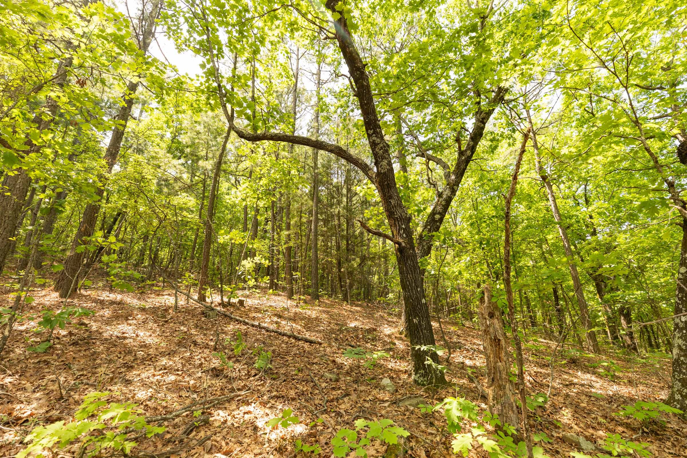Stone Bridge Reserve Tract 33 photo 10