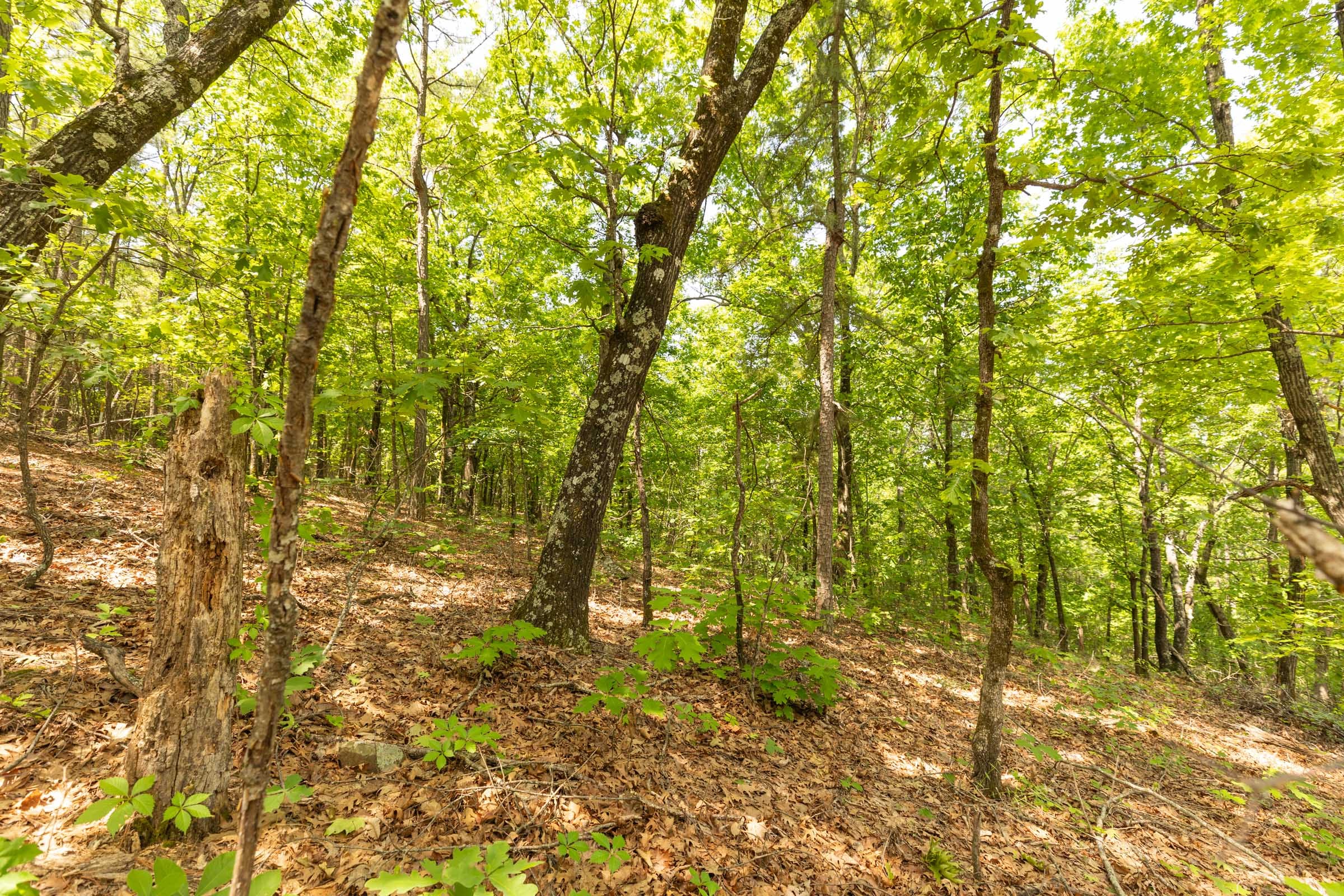 Stone Bridge Reserve Tract 33 photo 8