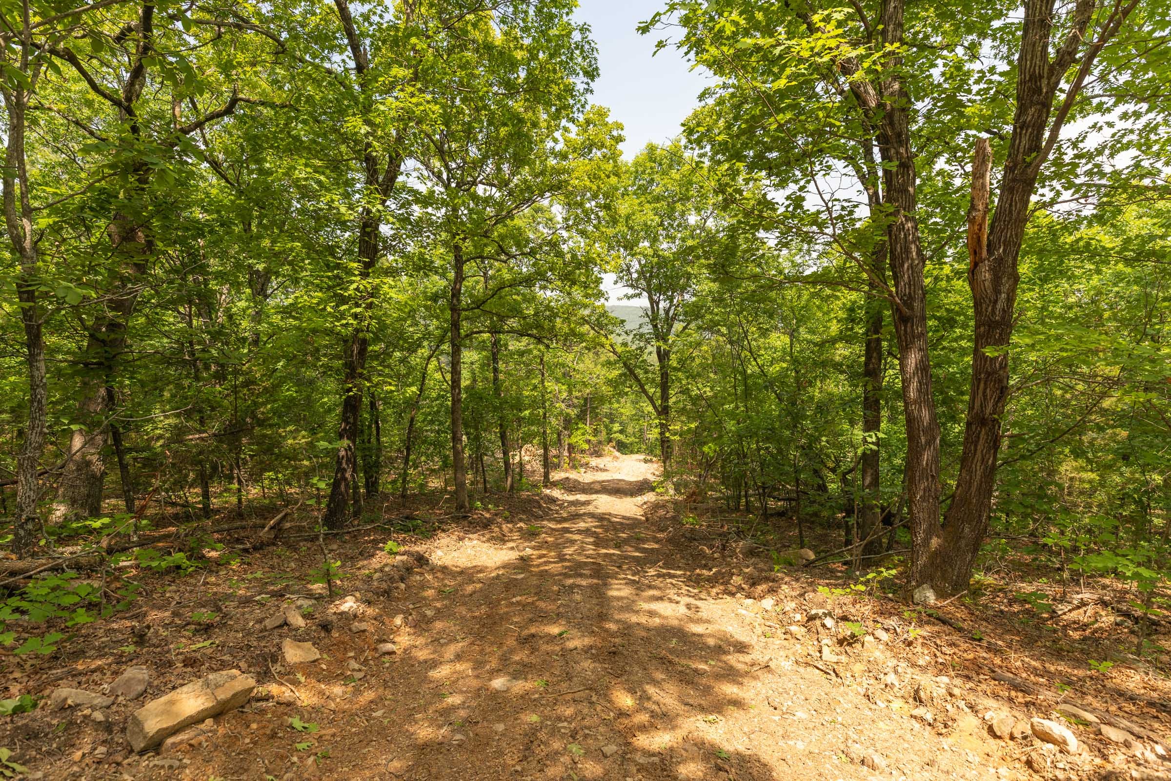 Stone Bridge Reserve Tract 33 photo 2
