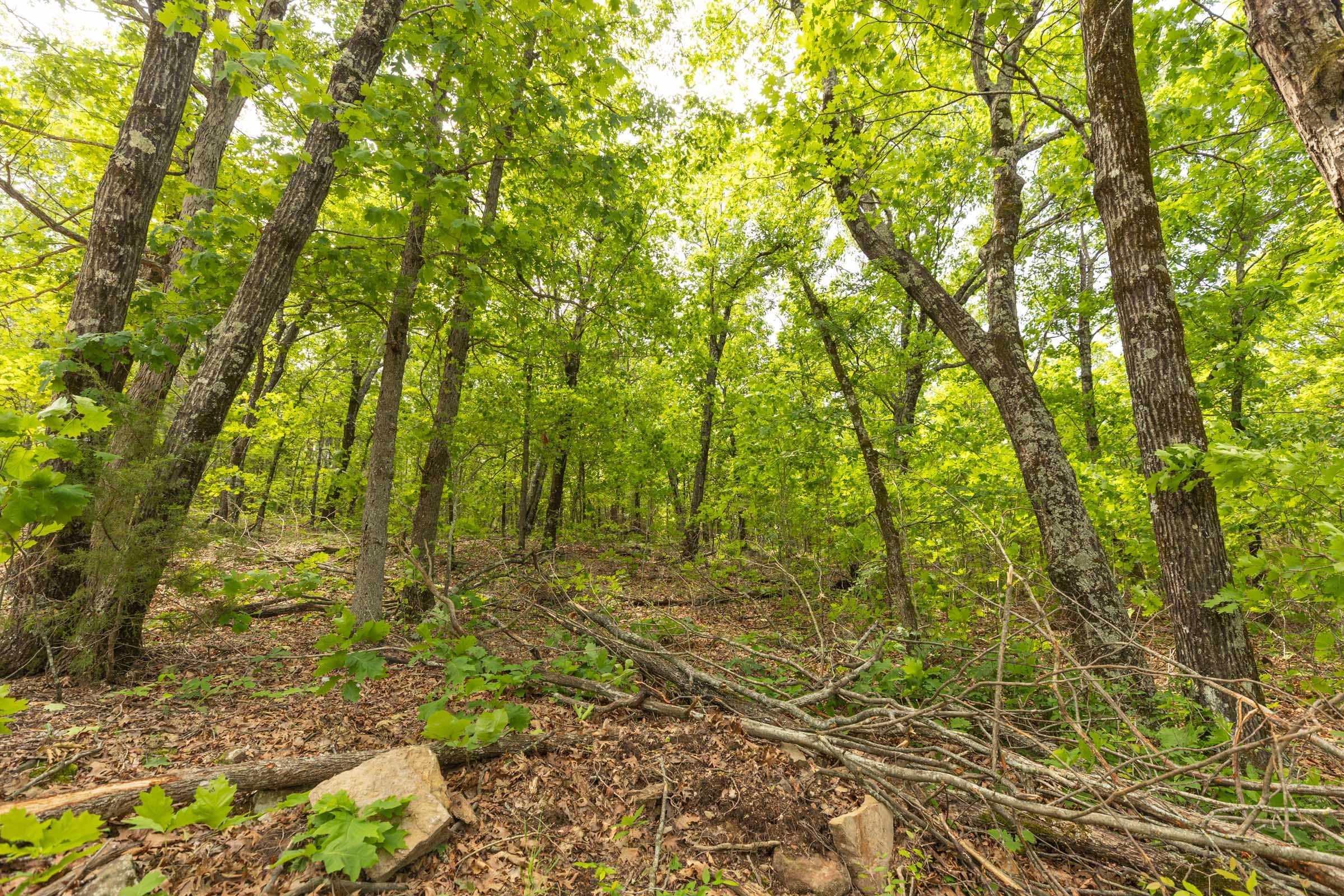 Stone Bridge Reserve Tract 33 photo 5