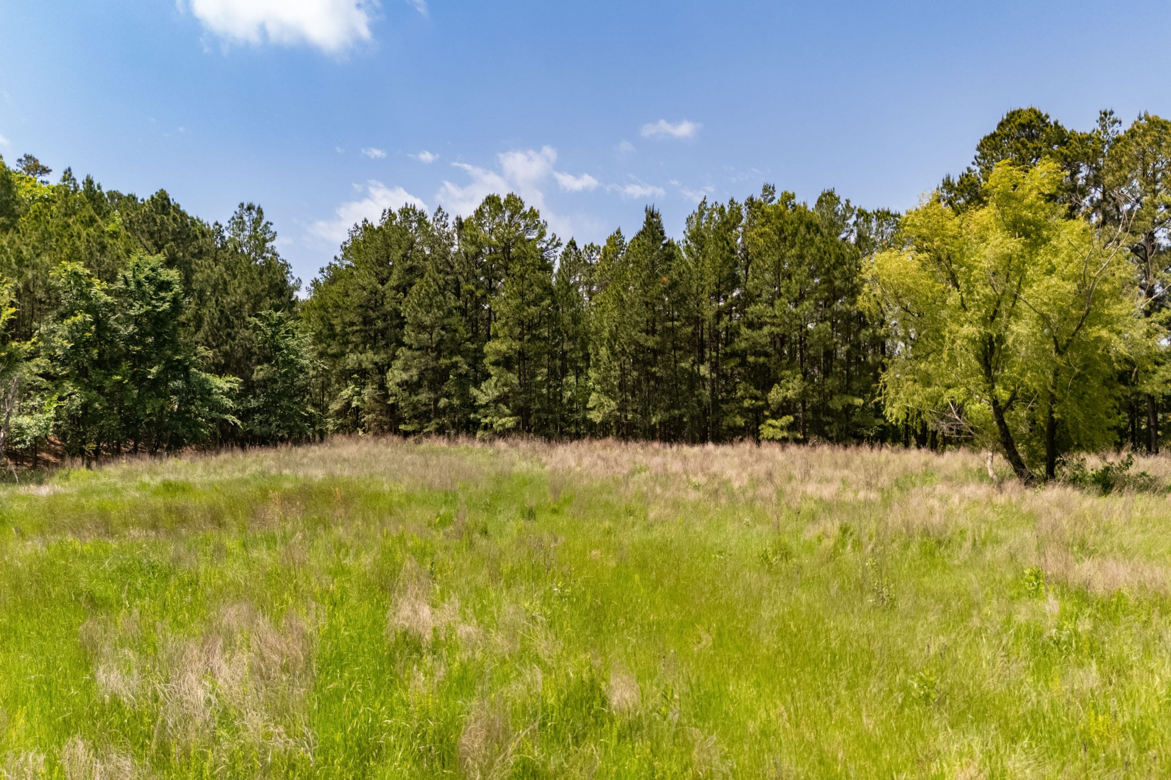Stone Bridge Reserve Tract 33 photo 3