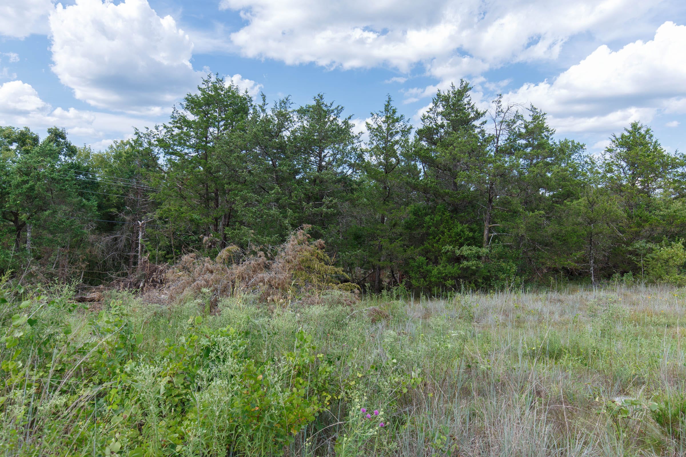 Wildwood Tract 32 photo 1