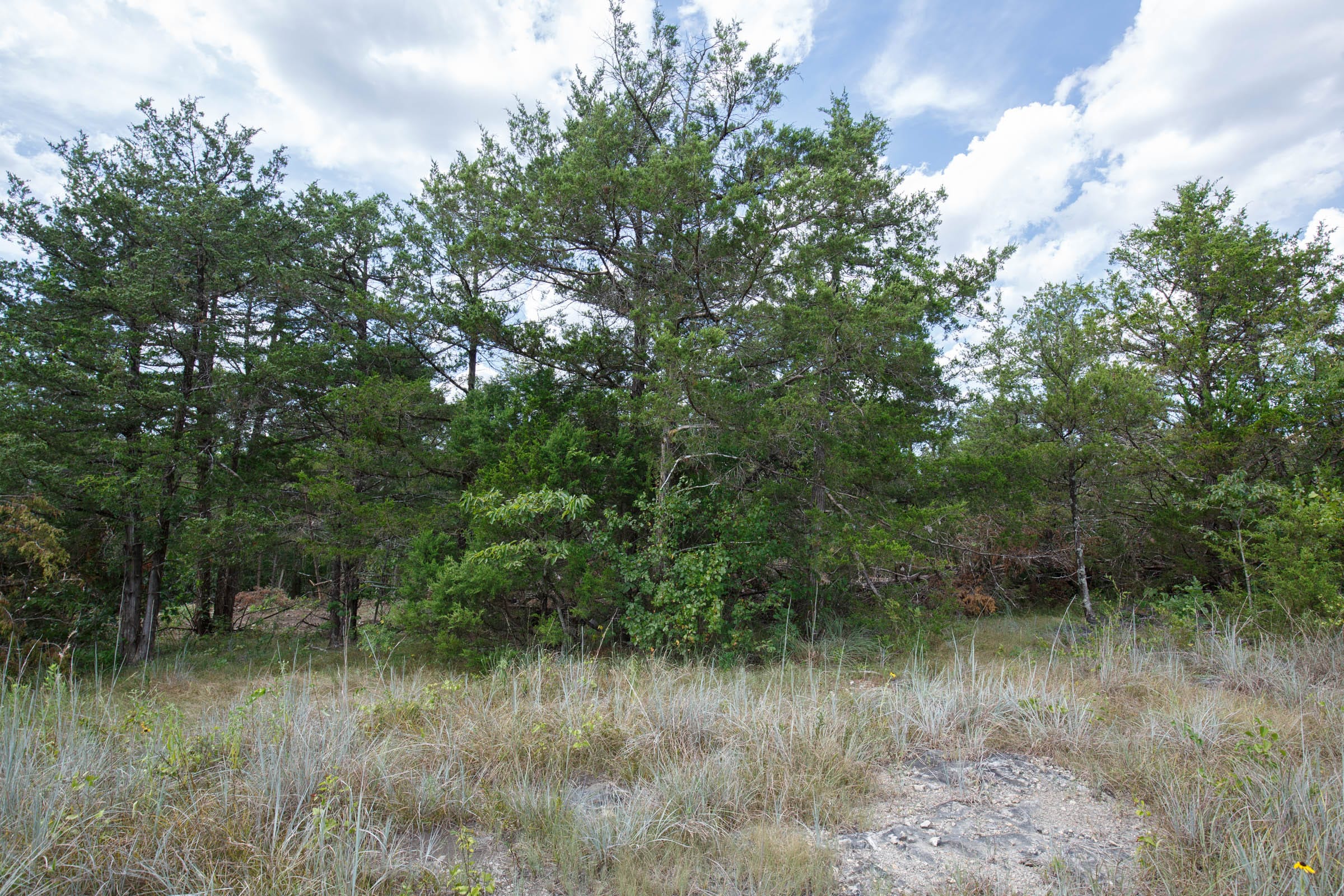 Wildwood Tract 32 photo 3