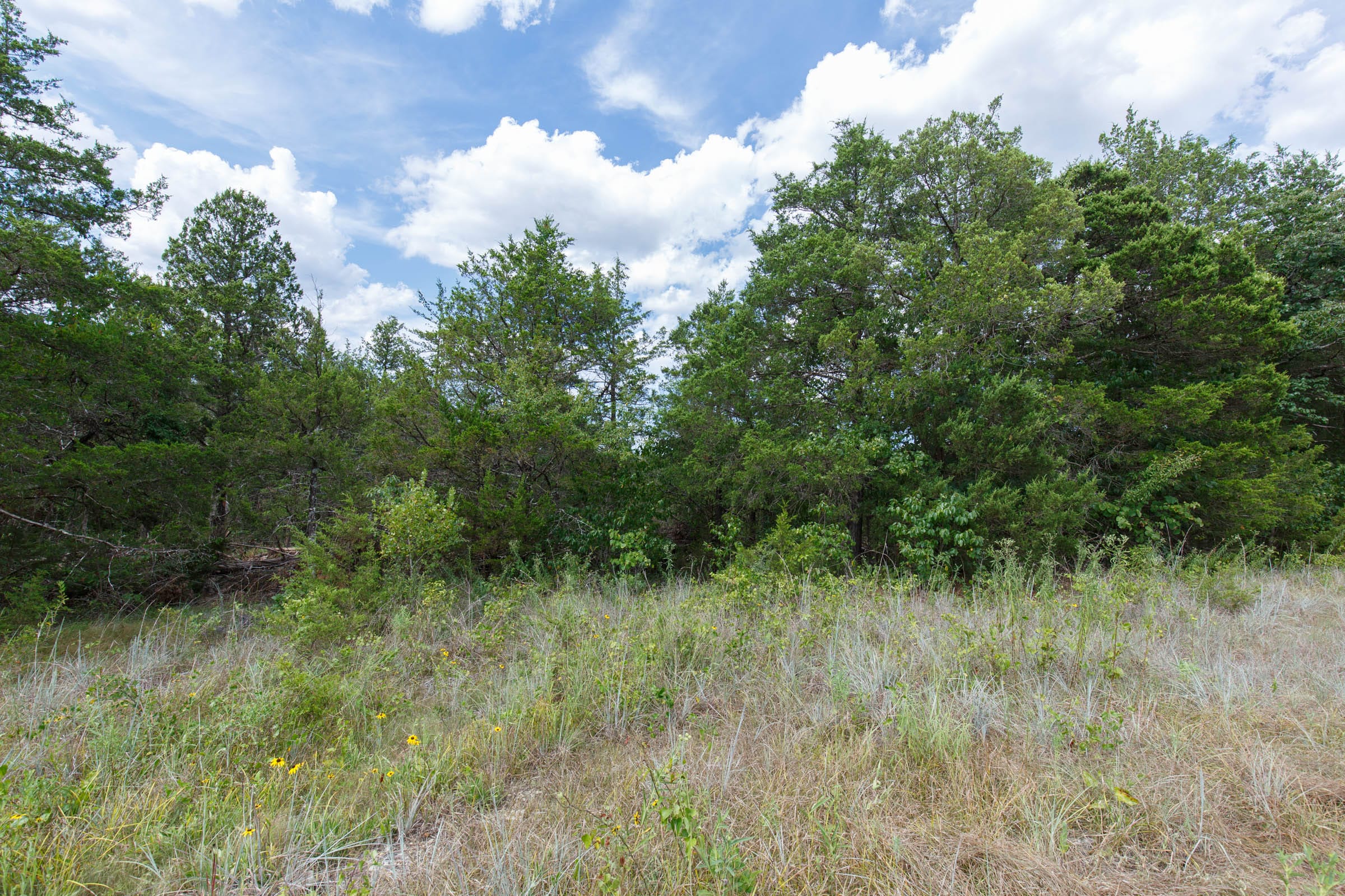 Wildwood Tract 32 photo 4