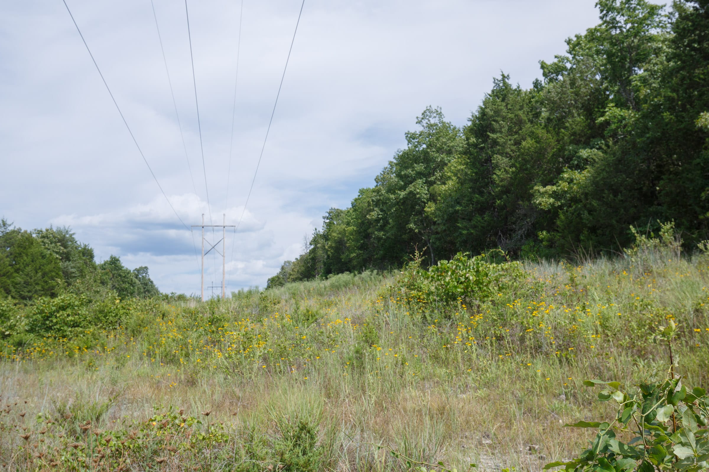 Wildwood Tract 32 photo 6