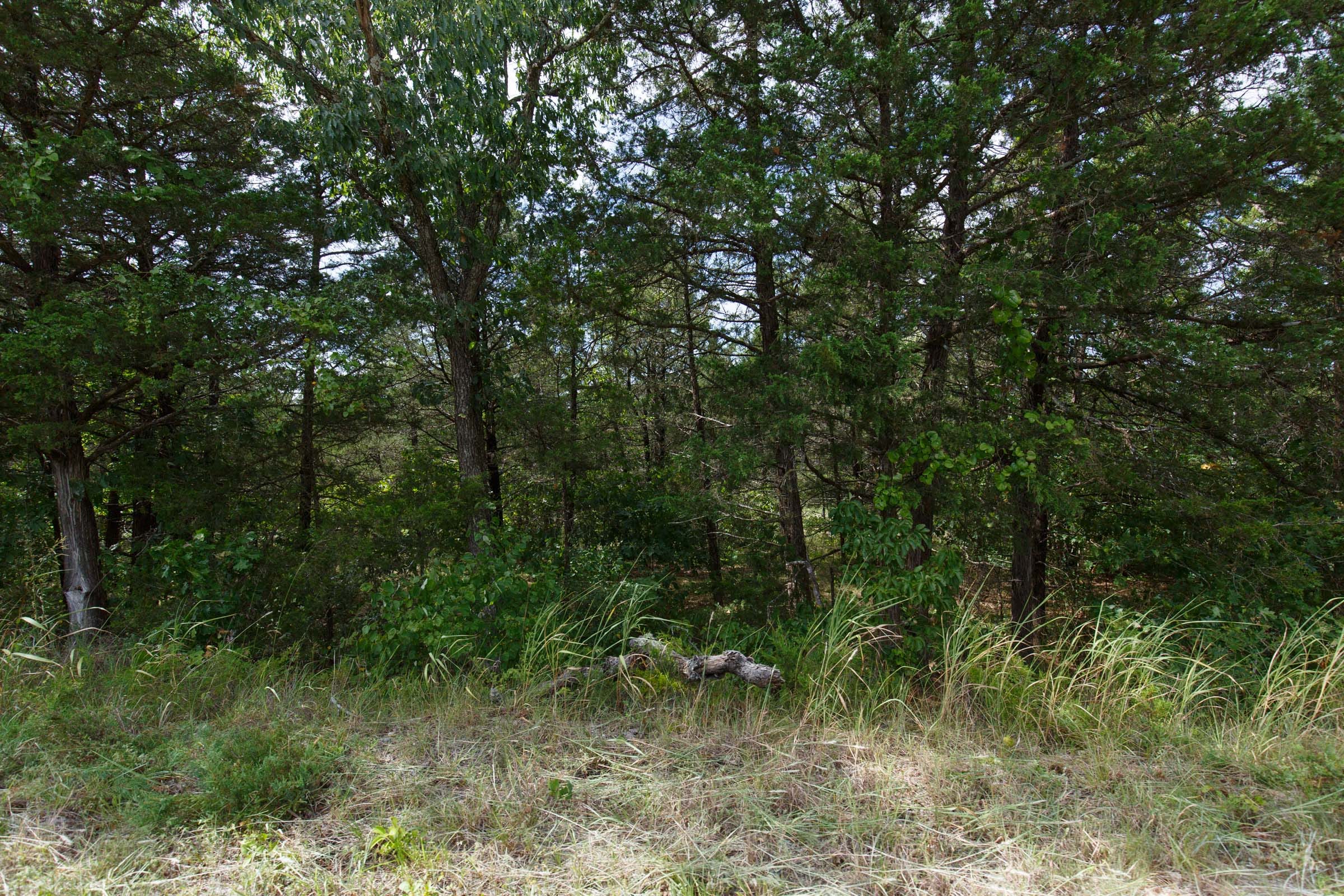 Wildwood Tract 32 photo 8