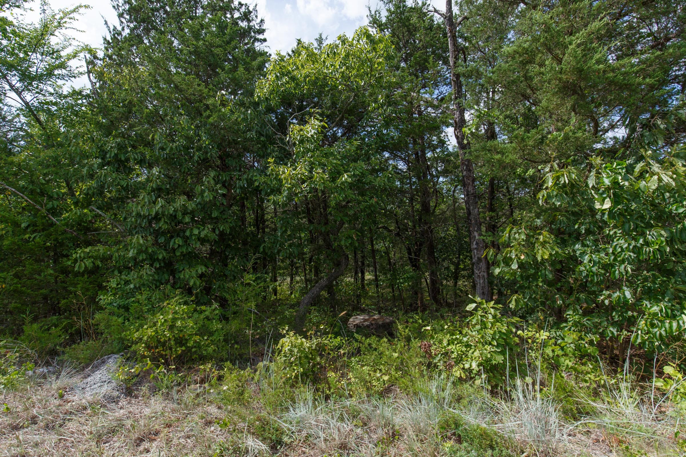 Wildwood Tract 32 photo 9