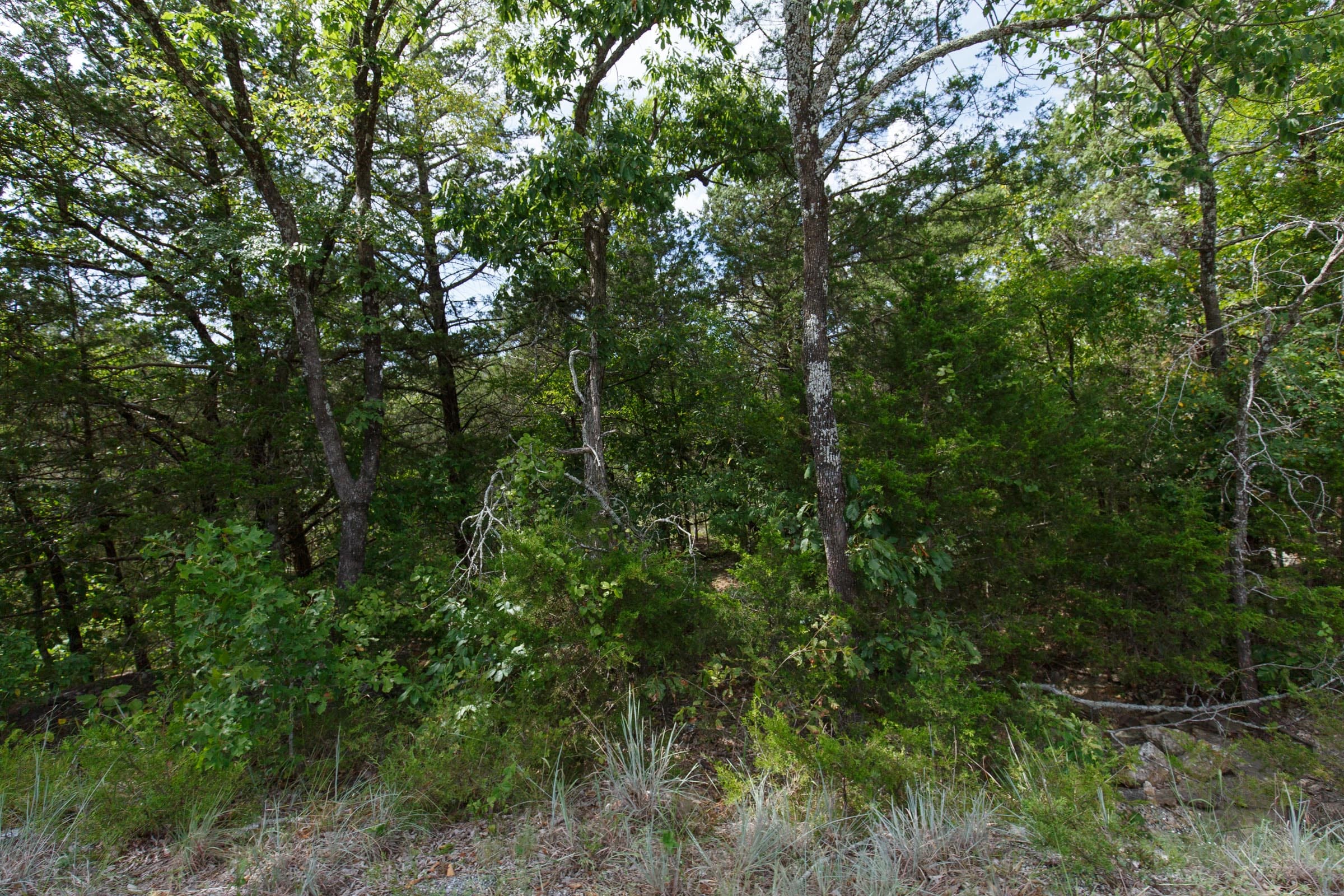 Wildwood Tract 32 photo 10