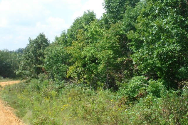 Sugartree Falls Tract 18 photo 3