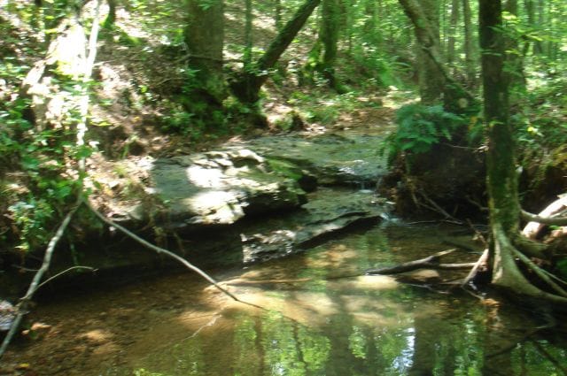 Sugartree Falls Tract 18 photo 7