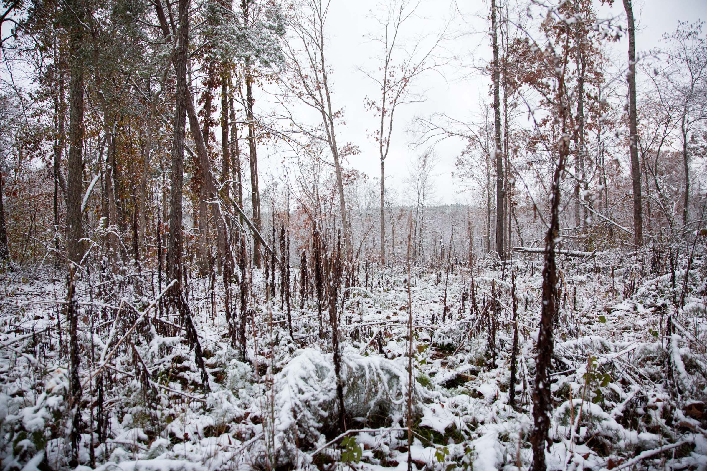 Sweet Water Ranch Tract 5 photo 6