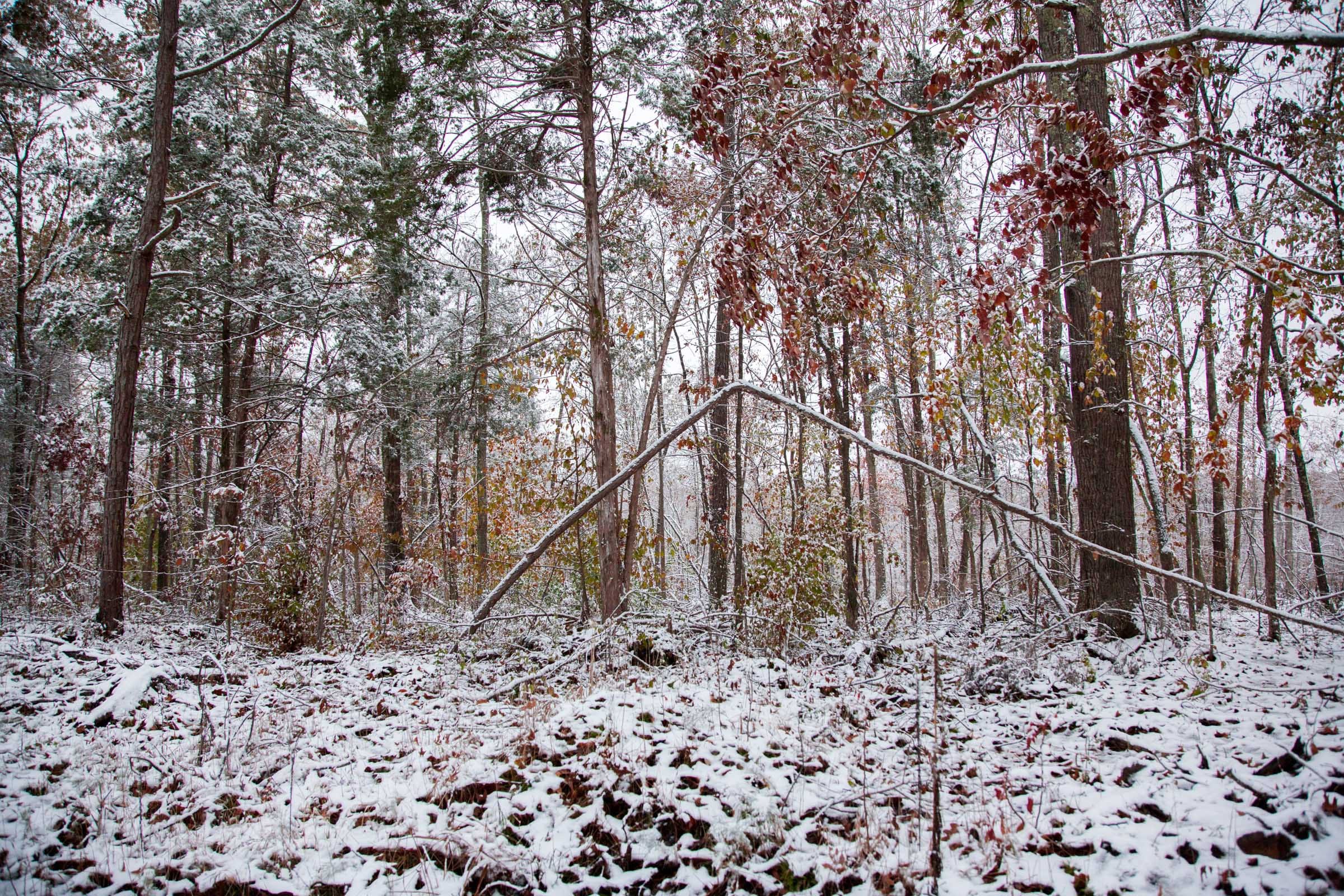 Sweet Water Ranch Tract 5 photo 7