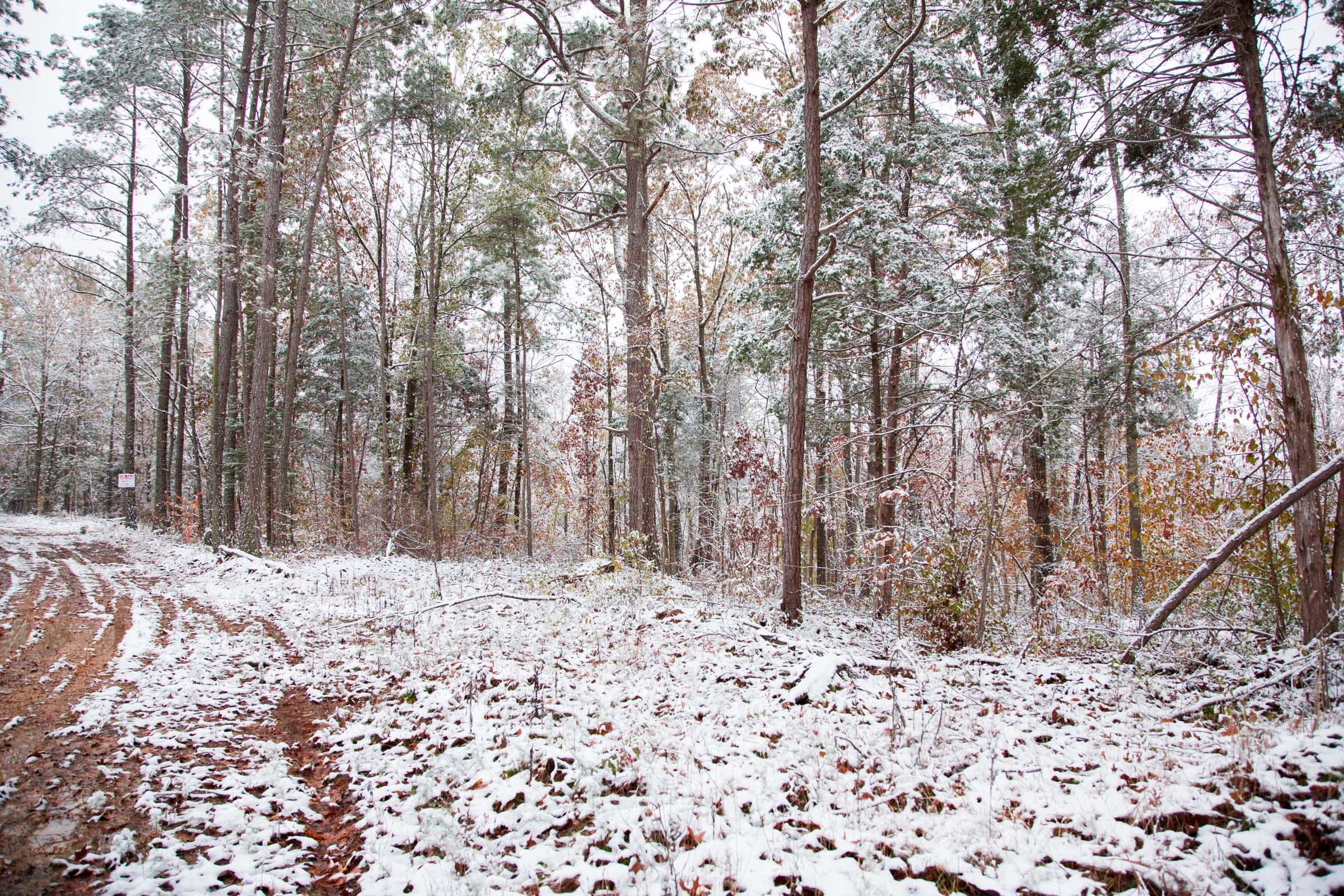 Sweet Water Ranch Tract 5 photo 8