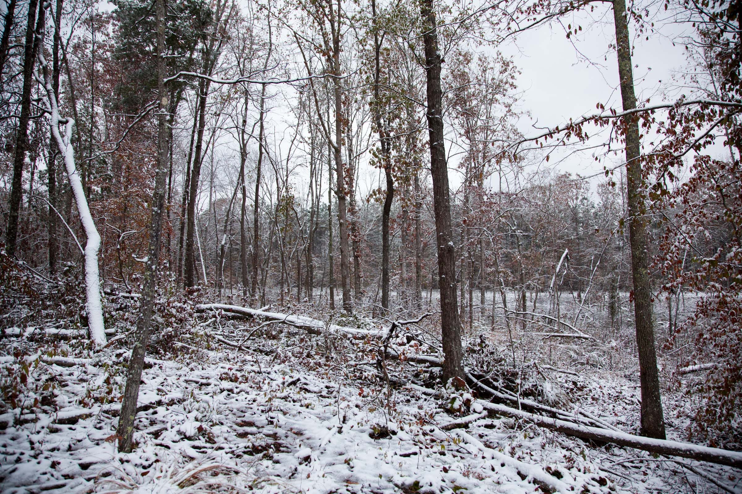 Sweet Water Ranch Tract 27 photo 4
