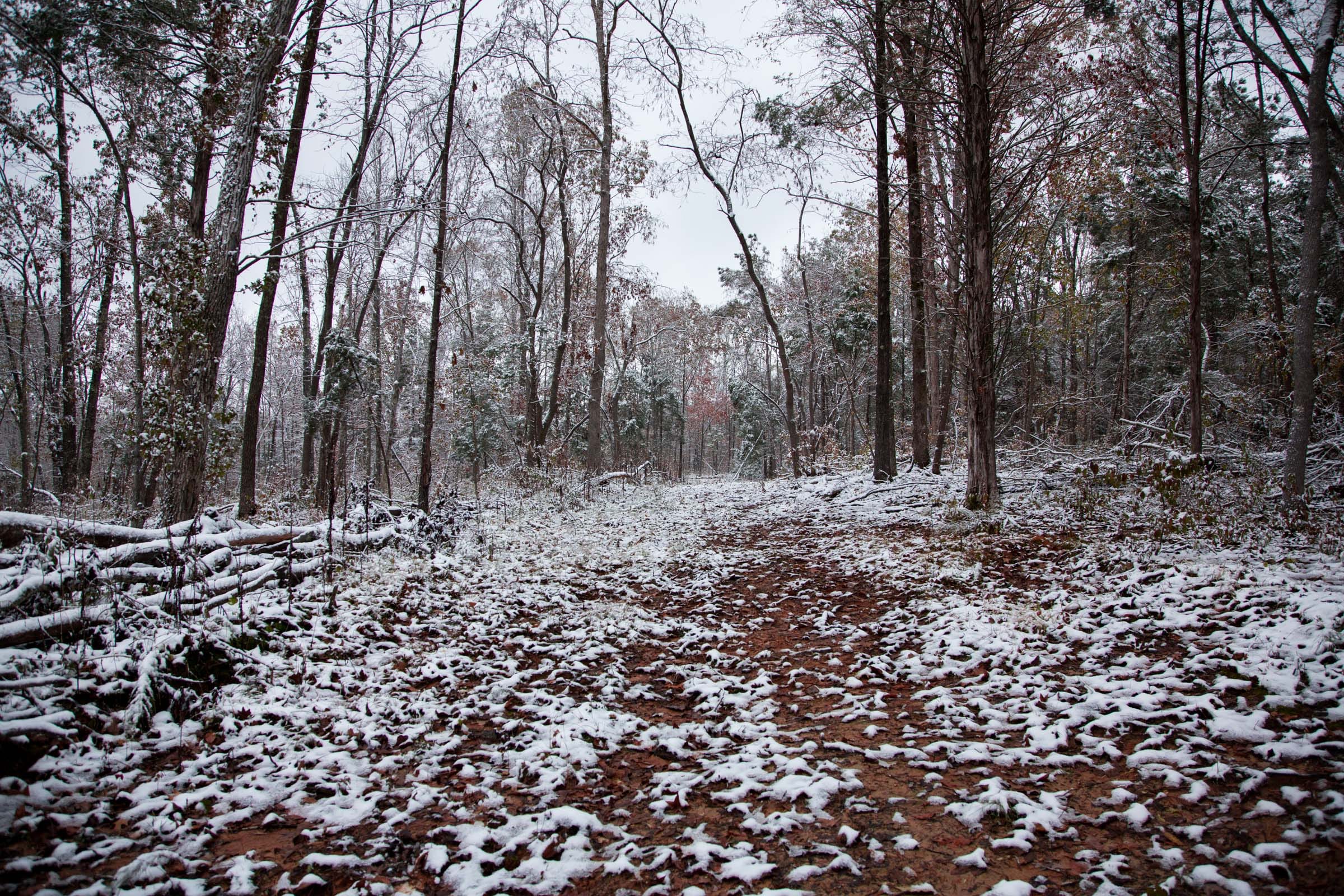 Sweet Water Ranch Tract 27 photo 5