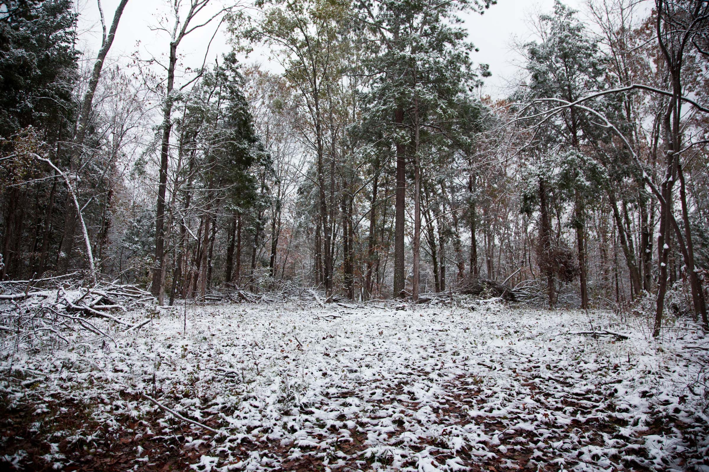 Sweet Water Ranch Tract 27 photo 6