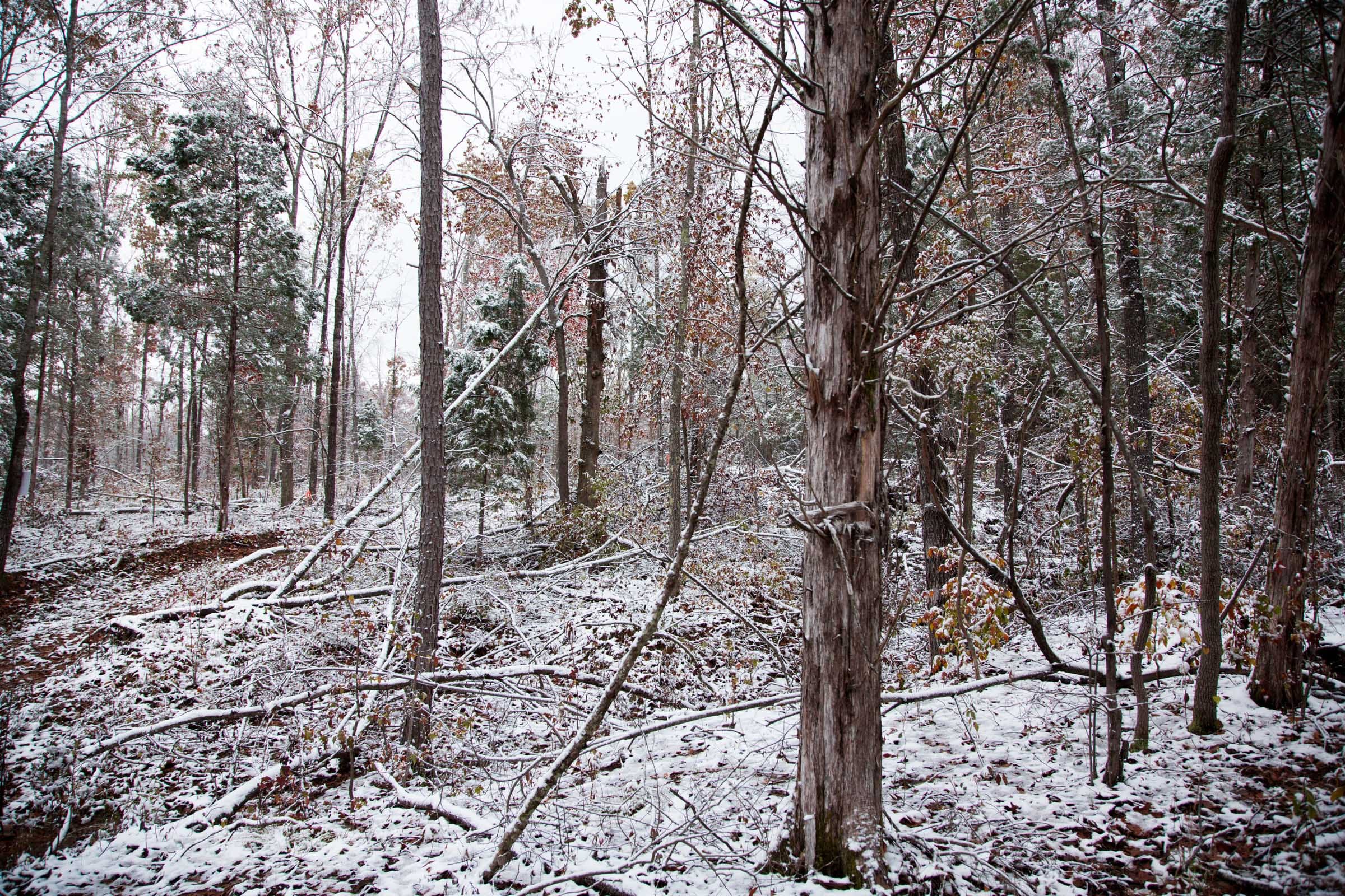 Sweet Water Ranch Tract 27 photo 7
