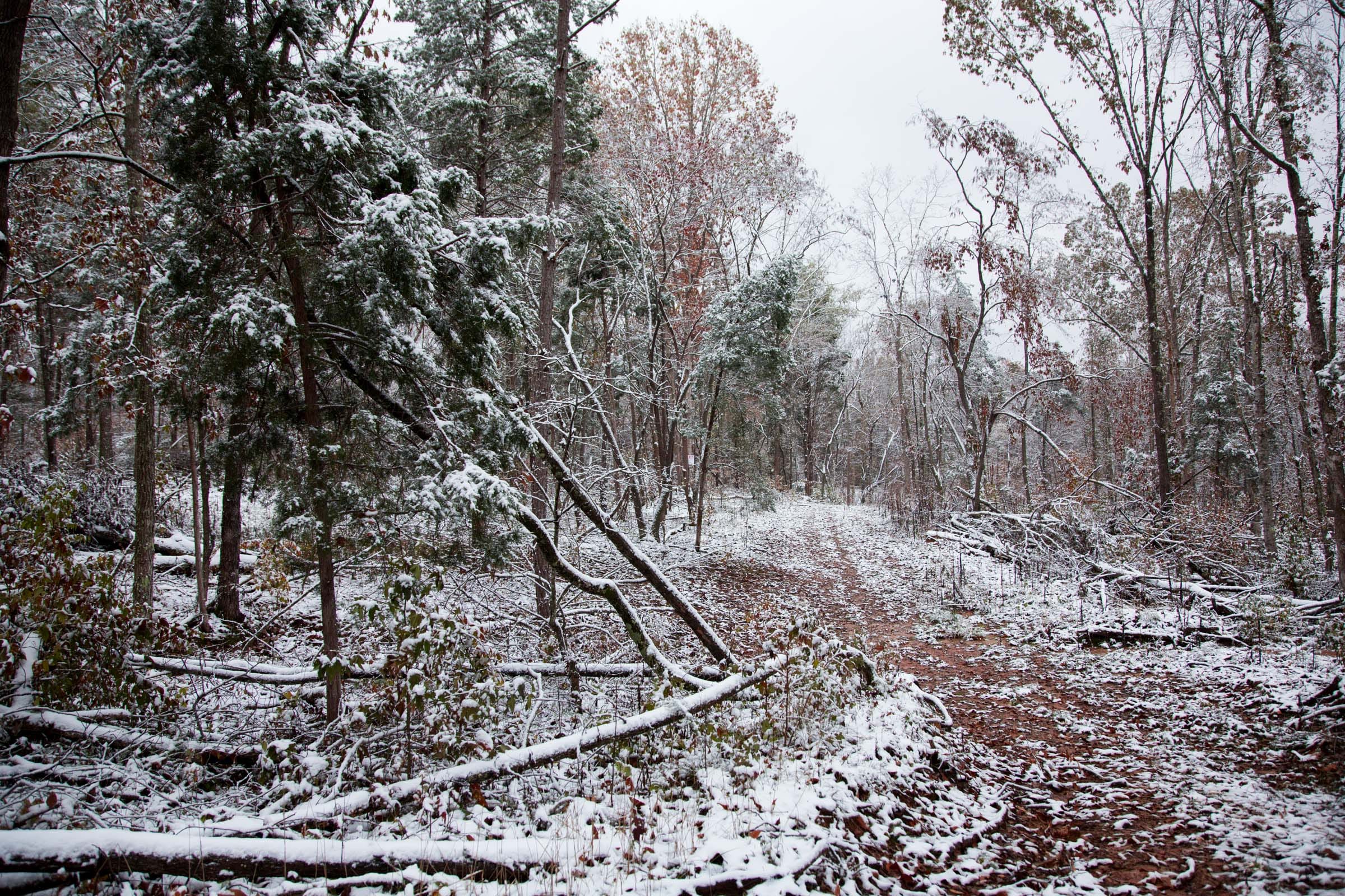 Sweet Water Ranch Tract 27 photo 8