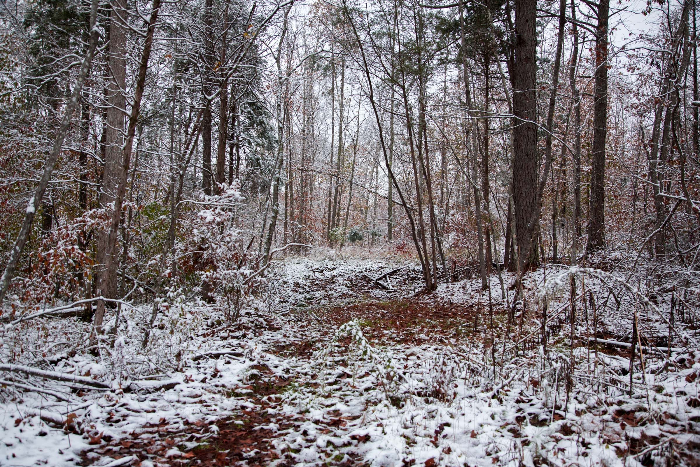 Sweet Water Ranch Tract 27 photo 9