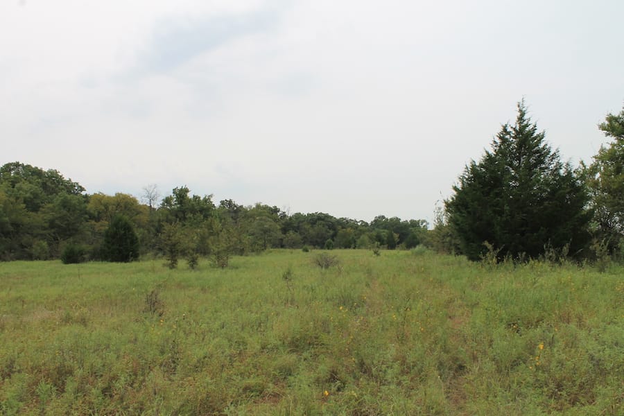 Saddlebrook Ranch Tract 34 photo 1