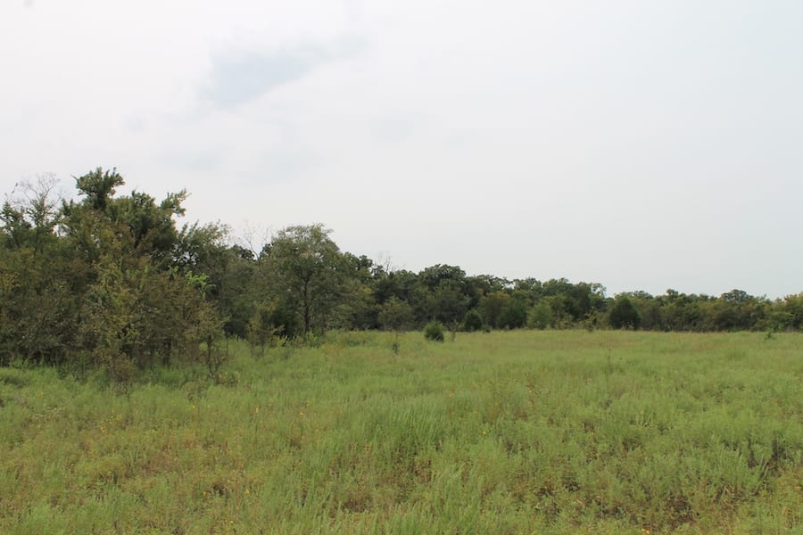 Saddlebrook Ranch Tract 34 photo 2