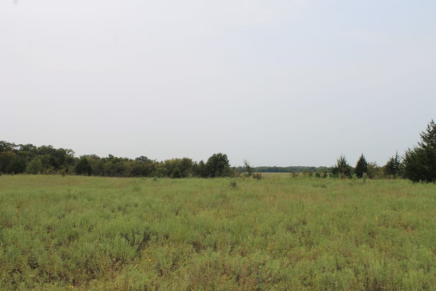 Saddlebrook Ranch Tract 34 photo 3