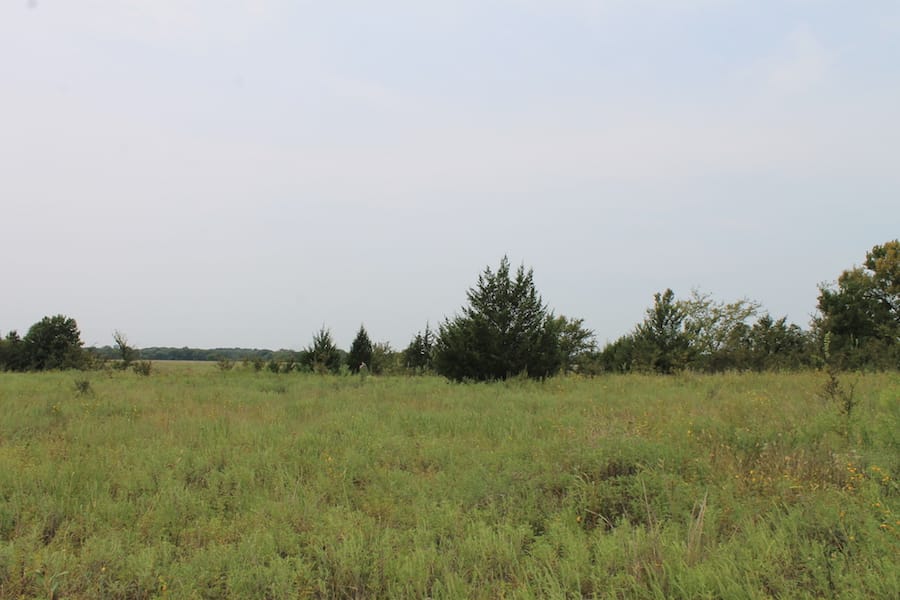 Saddlebrook Ranch Tract 34 photo 4