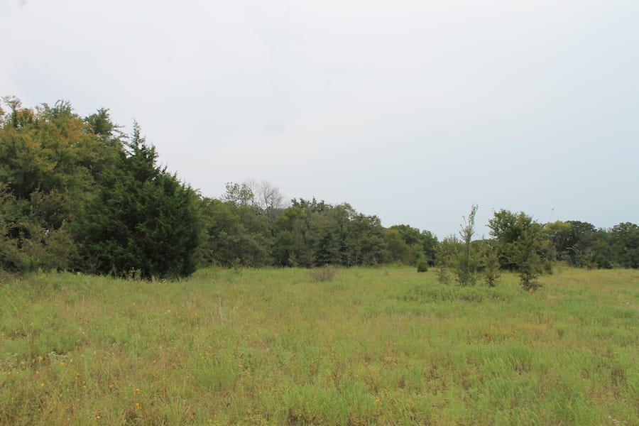 Saddlebrook Ranch Tract 34 photo 5