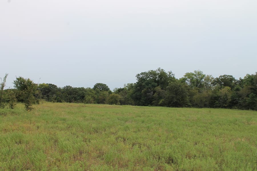 Saddlebrook Ranch Tract 34 photo 6