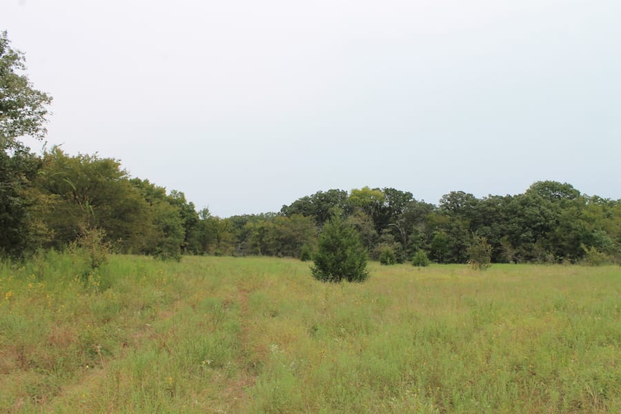 Saddlebrook Ranch Tract 34 photo 7