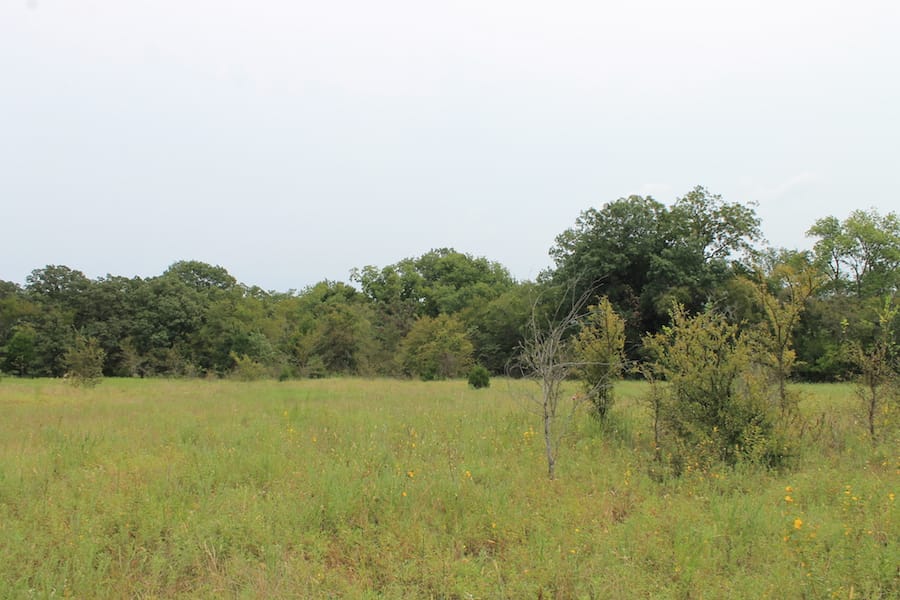Saddlebrook Ranch Tract 34 photo 8