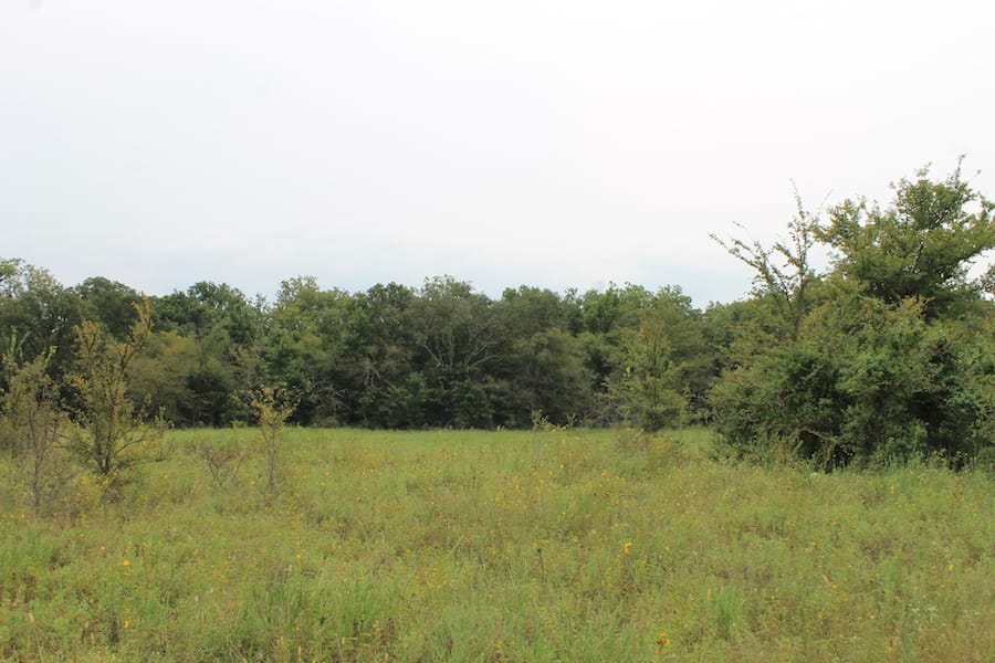 Saddlebrook Ranch Tract 34 photo 9