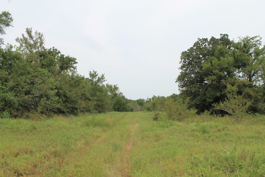 Saddlebrook Ranch Tract 34 photo 10