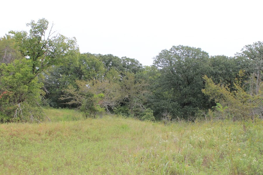 Saddlebrook Ranch Tract 34 photo 11