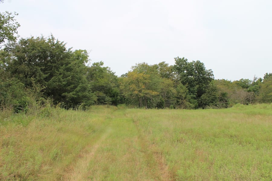 Saddlebrook Ranch Tract 34 photo 12
