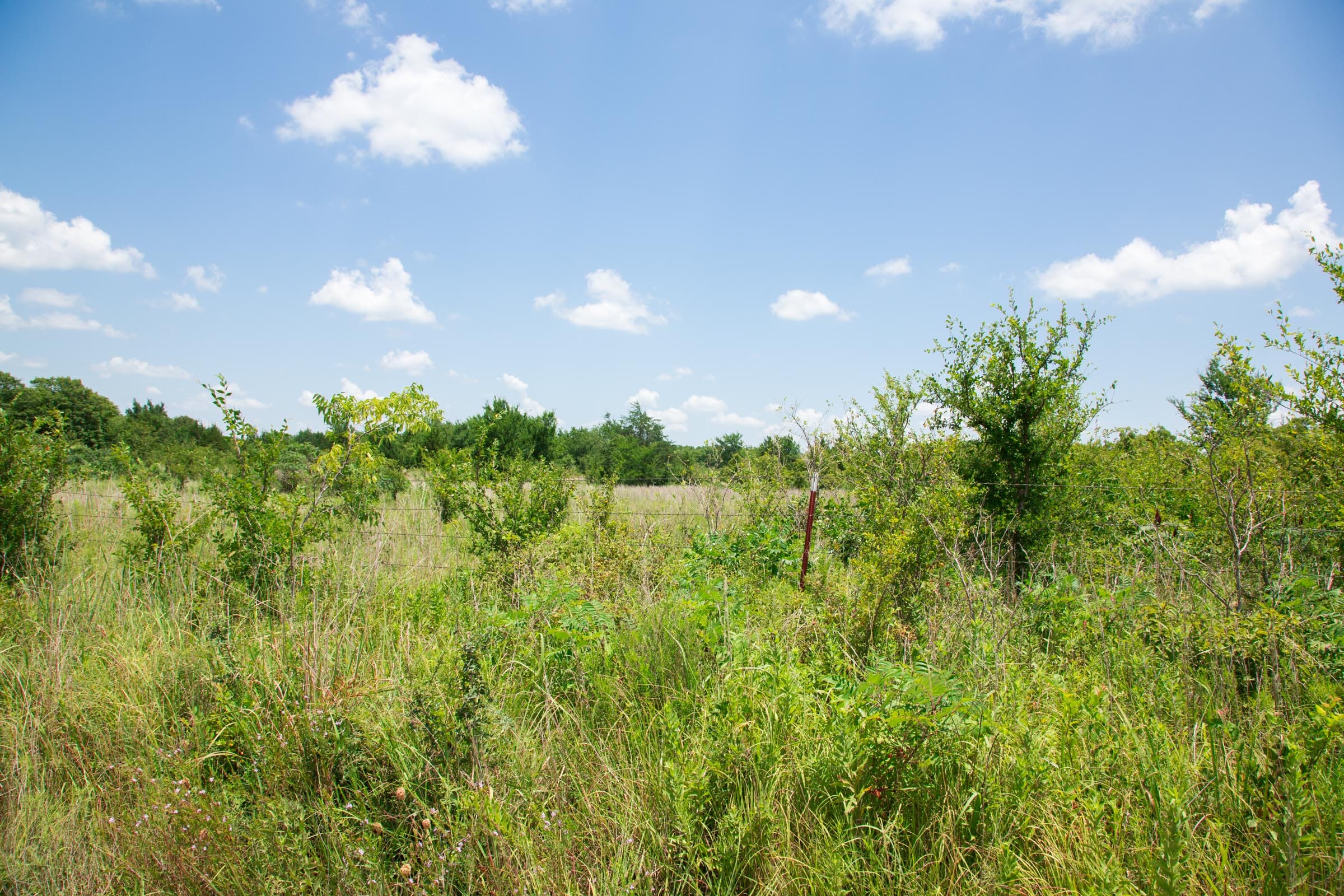 Deep Fork Ranch Tract 9 photo 4
