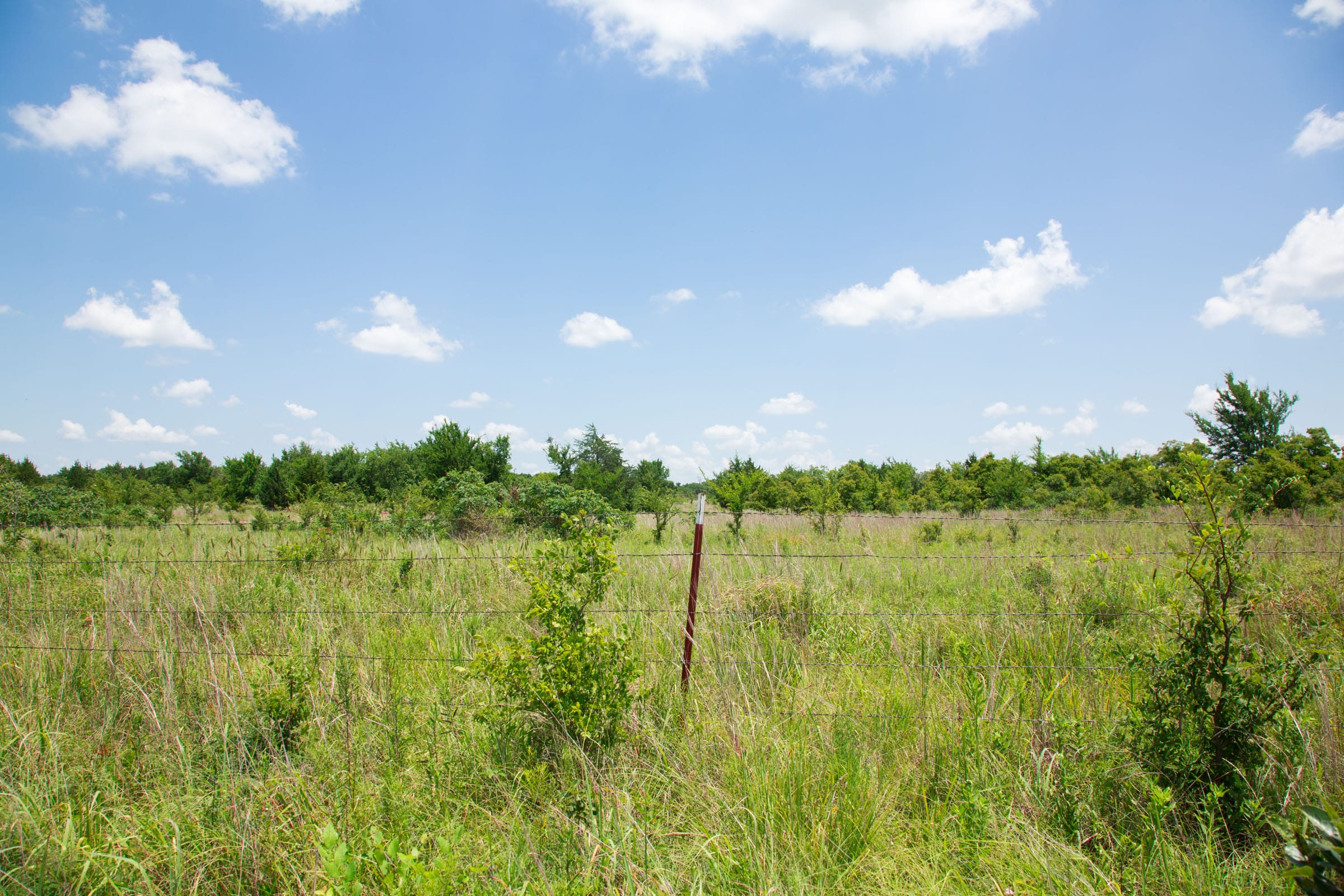 Deep Fork Ranch Tract 9 photo 5