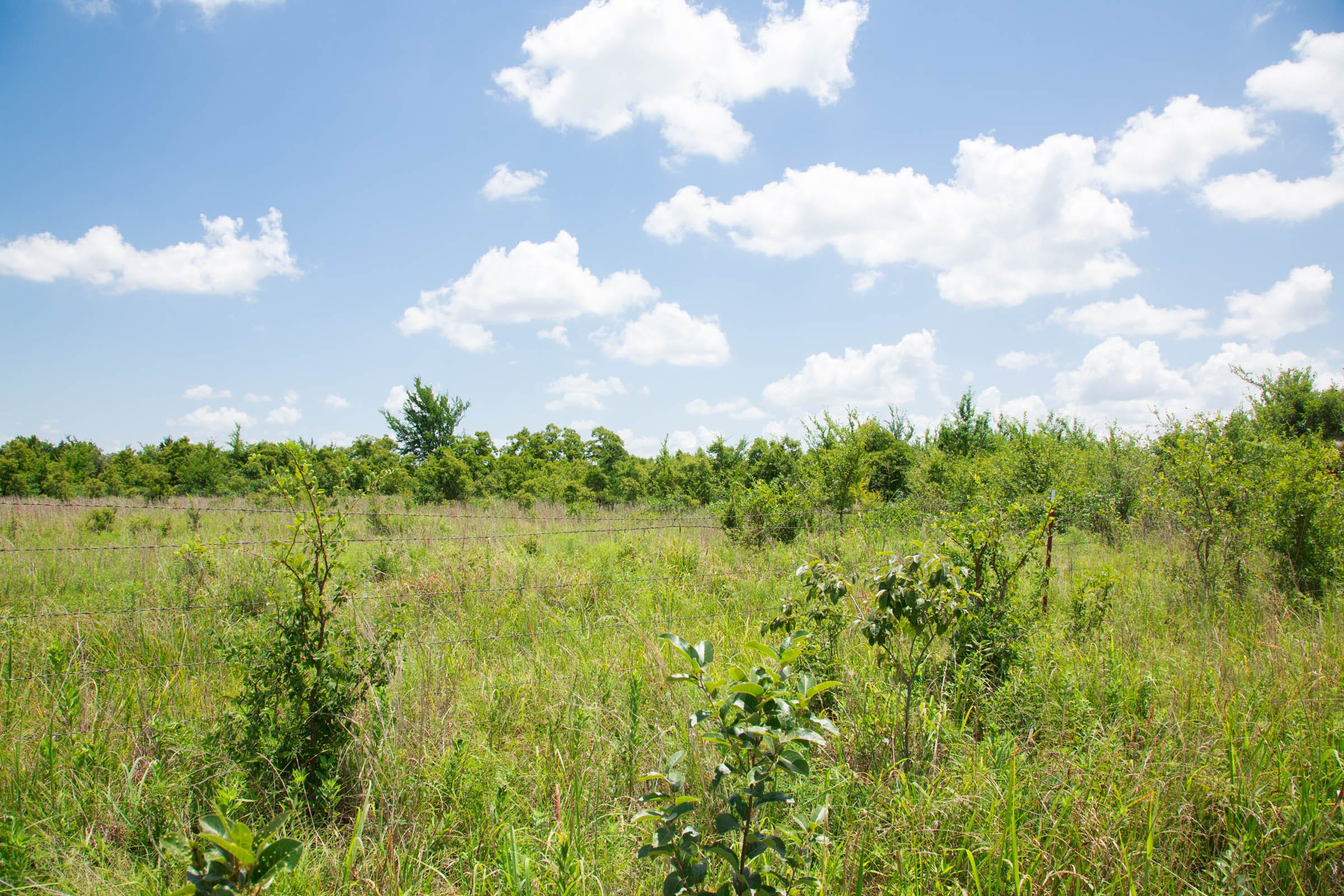 Deep Fork Ranch Tract 9 photo 6